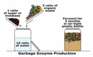 garbage enzyme production